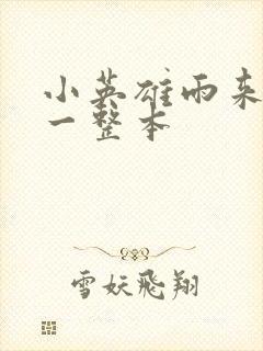 小英雄雨来批注一整本