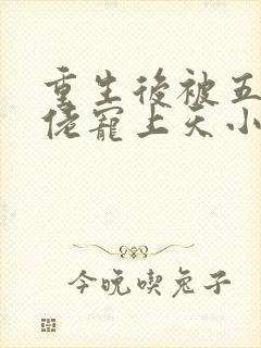 重生后被五个大佬宠上天小说