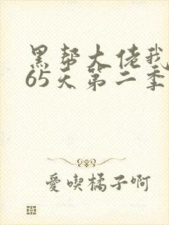 黑帮大佬我的365天第二季