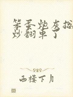 笨蛋炮灰总被爆炒翻车了