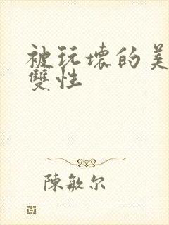 被玩坏的美人(双性