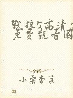 战狼5高清完整免费观看国语电影