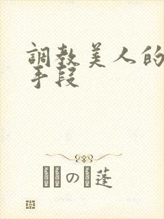 调教美人的百种手段封面