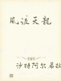 风流天龙
