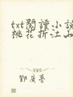 txt阅读小说桃花折江山