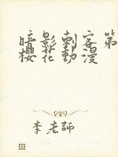 暗影刺客第五季樱花动漫