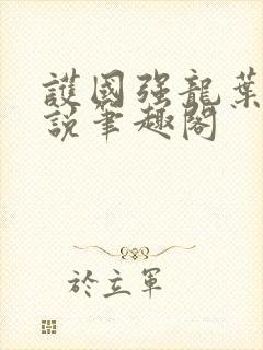 护国强龙叶空小说笔趣阁