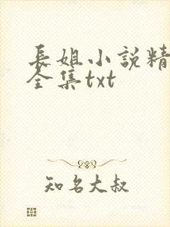 长姐小说精校版全集txt