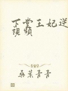 下堂王妃逆袭记视频