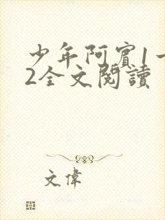 少年阿宾1一72全文阅读