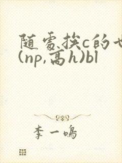 随处挨c的世界(np,高h)bl