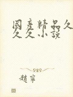 国产精品久久久久久小说封面