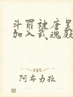 斗罗被唐昊抛弃加入武魂殿的小说