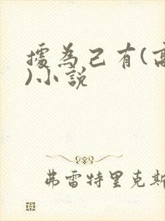 据为己有(高干)小说