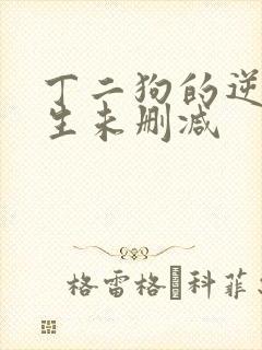 丁二狗的逆袭人生未删减