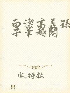 白洁高义孙倩东子笔趣阁封面