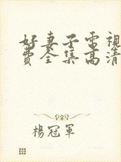 好妻子电视剧免费全集高清在线观看封面