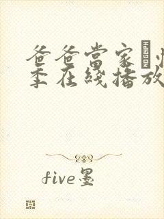 爸爸当家·慢享季在线播放封面