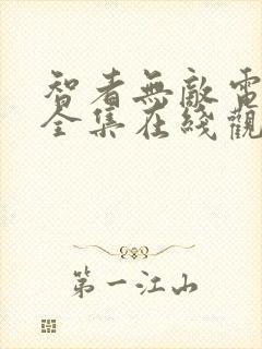 智者无敌电视剧全集在线观看免费封面