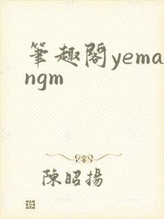 笔趣阁yemangm