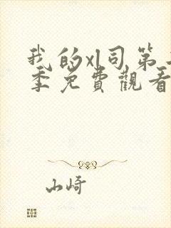 我的xl司第二季免费观看全集动漫