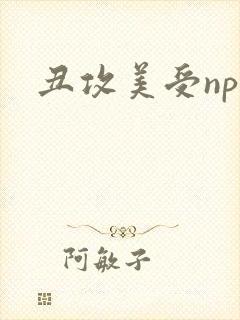 丑攻美受np