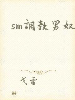 sm调教男奴文