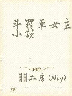 斗罗单女主同人小说