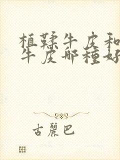 植鞣牛皮和头层牛皮哪种好