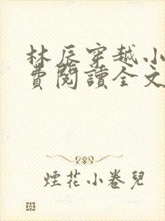 林辰穿越小说免费阅读全文无弹窗封面