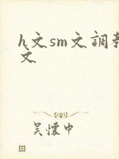 h文sm文调教文