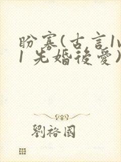 盼寡(古言1v1 先婚后爱)封面