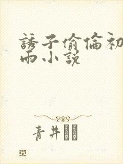 诱子偷伦初尝云雨小说封面