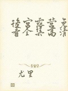 后宫露营免费观看全集高清