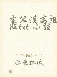 家父汉高祖精校版txt 小说