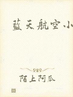 蓝天航空小说