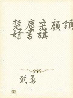 楚尘宋颜镇国神婿书旗