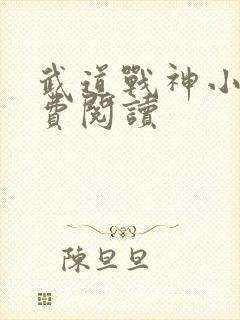 武道战神小说免费阅读