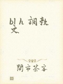 bl h 调教文