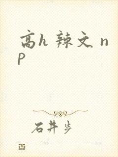 高h 辣文 np