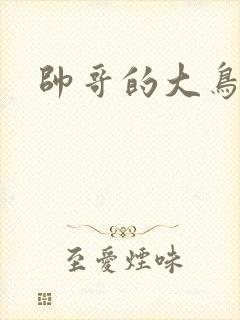 帅哥的大鸟