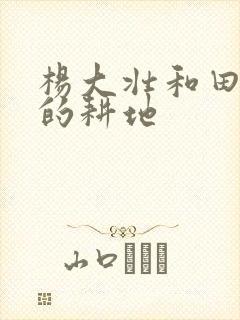 杨大壮和田桂花的耕地