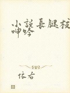 小说长腿校花的呻吟