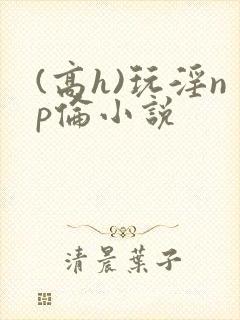 (高h)玩淫np伦小说封面