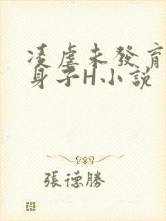 凌虐未发育的小身子H小说