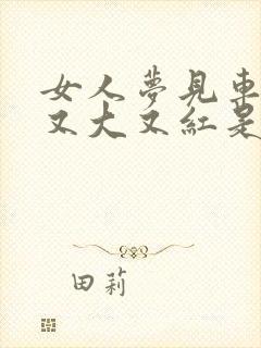 女人梦见车厘子又大又红是什么预兆封面