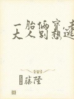一胎俩宝,老婆大人别想逃1893封面