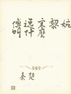 傅逸寒黎婉小说叫什么封面