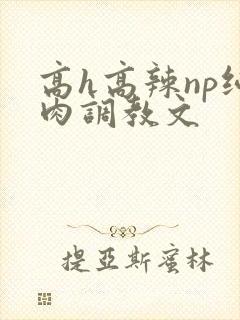 高h高辣np纯肉调教文