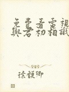 免费看电视剧《与君初相识》